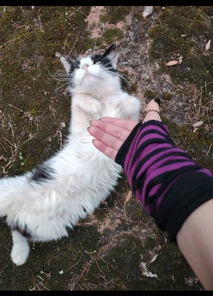 🖤Manicotti💜, marque: EMP, état: Neuf avec étiquette, taille: Taille unique, 5,50 €, 6,48 € Protection acheteurs incluse