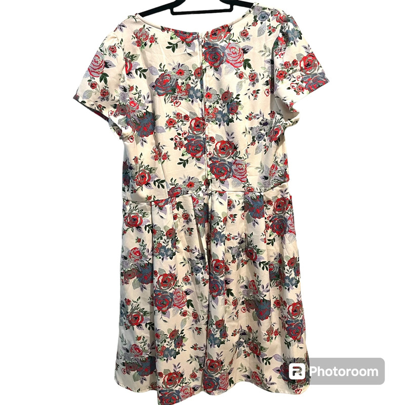 Forever 21 Plus Sizes 3X Cream Ivory Red Blue Green Floral Roses Dress 2
