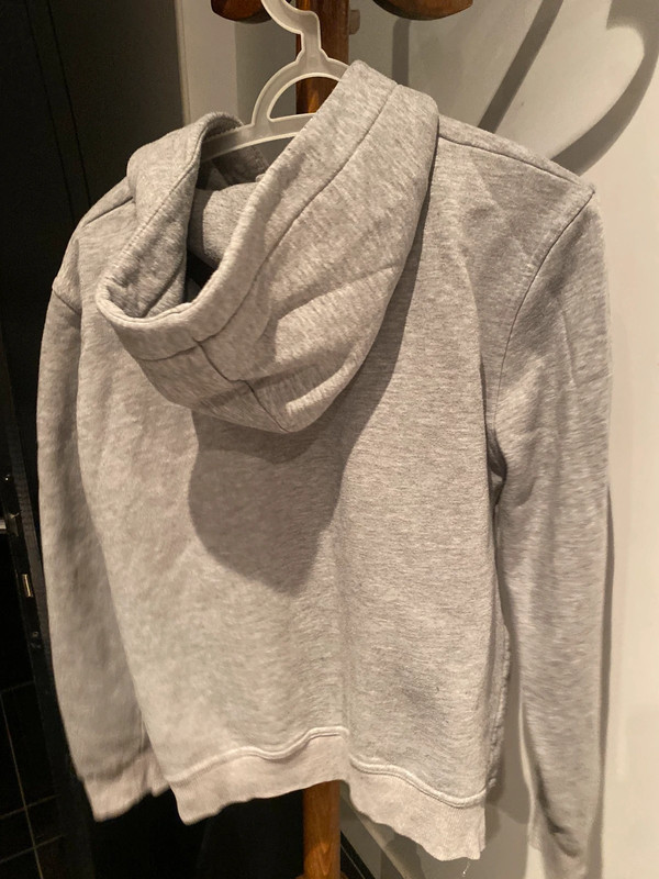 Sweat à capuche gris 2