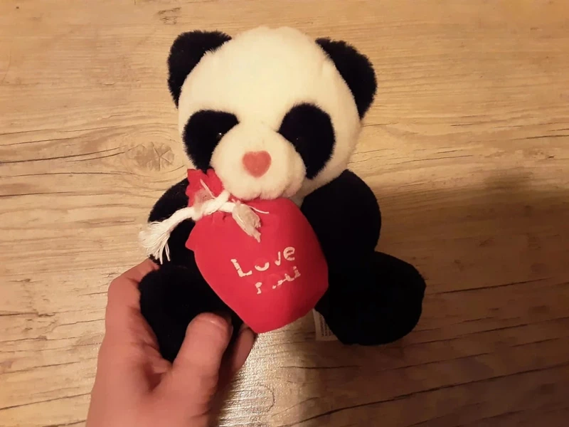 Panda - photo numéro 3