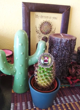 Anillo verde, merk: Anuskita, staat: Nieuw zonder prijskaartje, maat: Aanpasbaar, € 3,00, € 3,85 inclusief Kopersbescherming