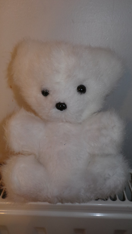 Vintage Peluche Ours Blanc Bebe P Luch 19 Cm Grelot Vinted