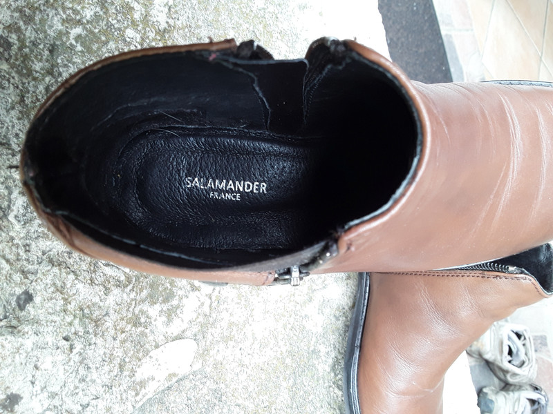 Salamander Bottines femme en cuir brun Taille 36