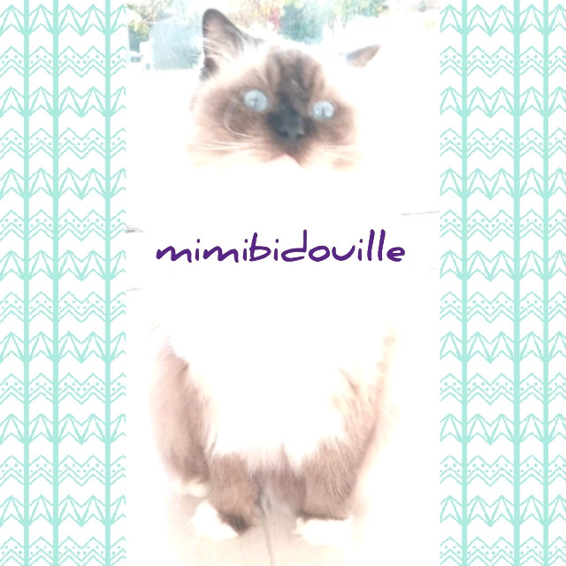 mimibidouille profile picture