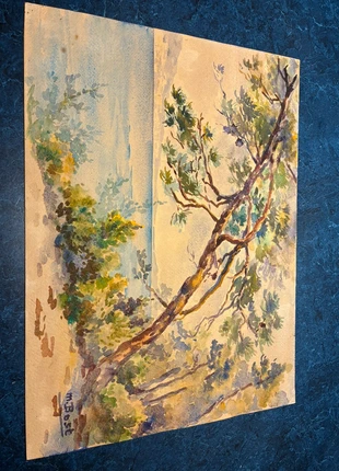 Aquarelle paysage “Arbre penché” signée M. Bost – 26 x 35 cm – Encadrée, condition: Very good, €13.00, €14.35 includes Buyer Protection