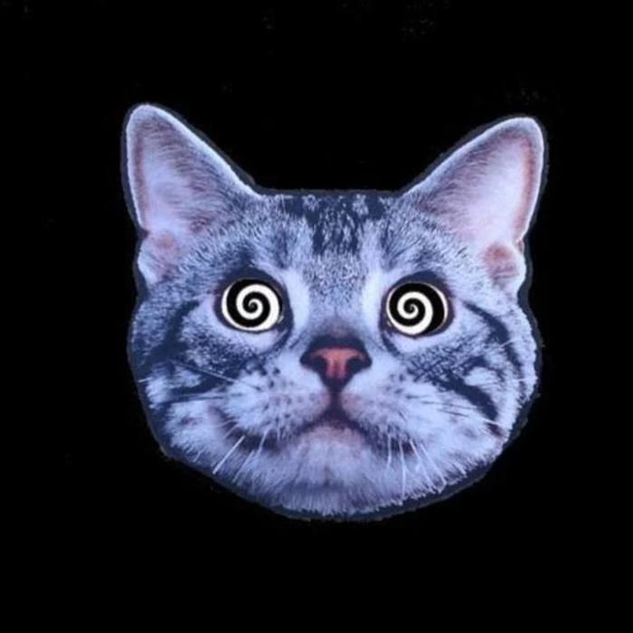 meowx profile picture