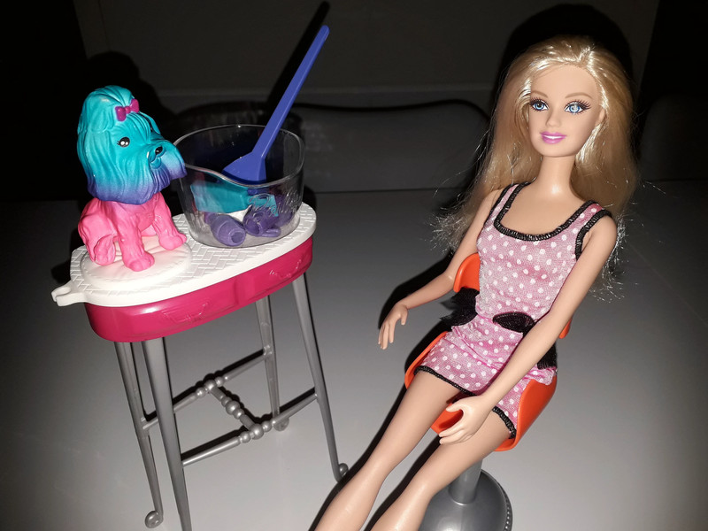 Barbie et toilettage chien
