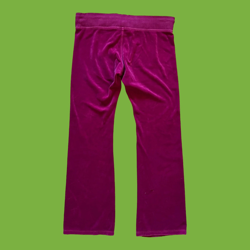 Express velour pant 3