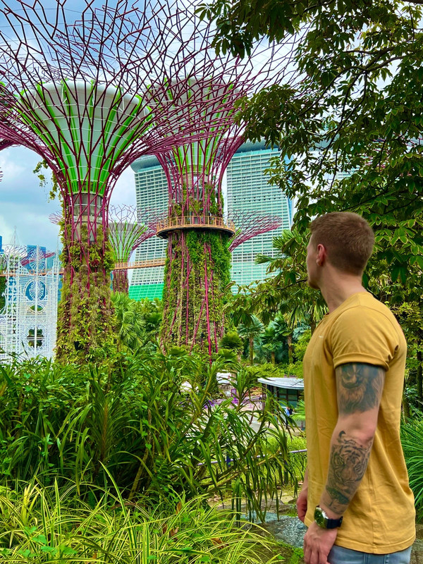 Zx sales flux s76368