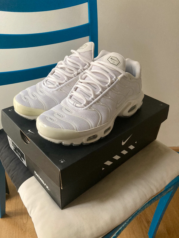 Nike Air Max Plus white