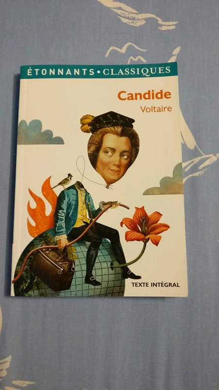 Candide de Voltaire - Editions Flammarion