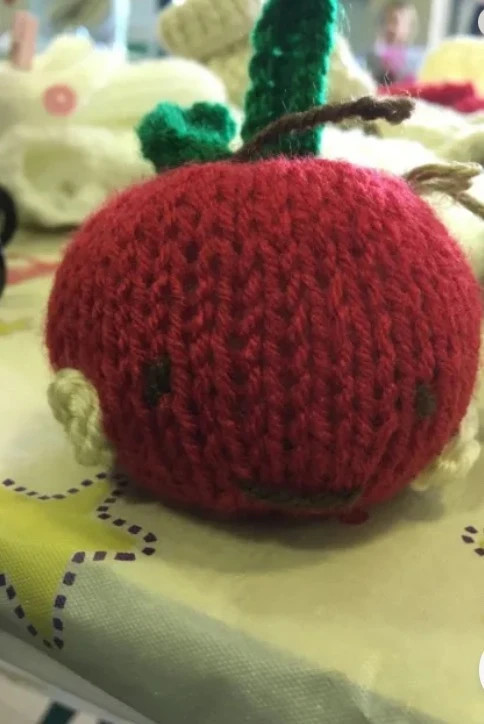 Hand knitted best teacher apple gift 1