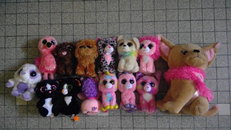 Peluche ty ours cheap