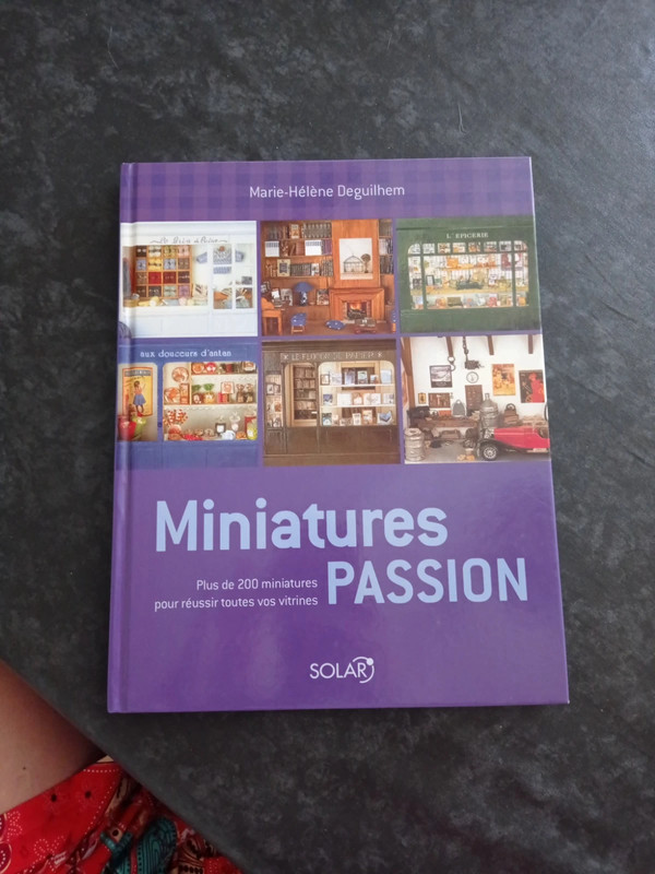 Miniatures passion: + de 200 miniatures pour réussir toutes vos