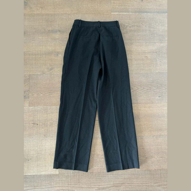 babaton pleated aritzia black trousers pants 2