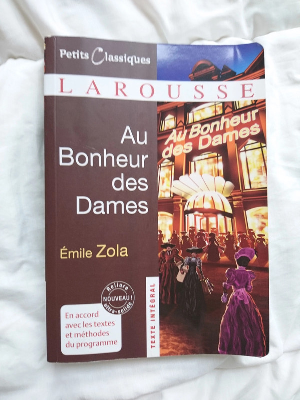 Livre Zola Au Bonheur des dames  1