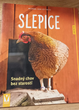 Obrázek k inzerátu: Slepice