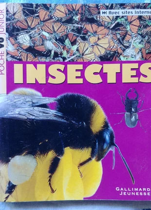 Livre animaux : Insectes - Laurence Mound, condition: Good, €4.00, €4.90 includes Buyer Protection