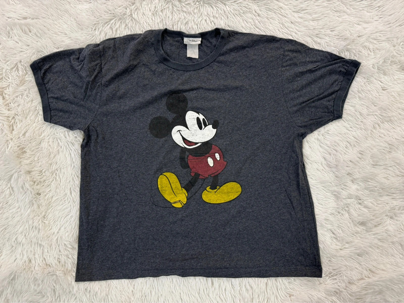 Disney park Mickey graphic top 1