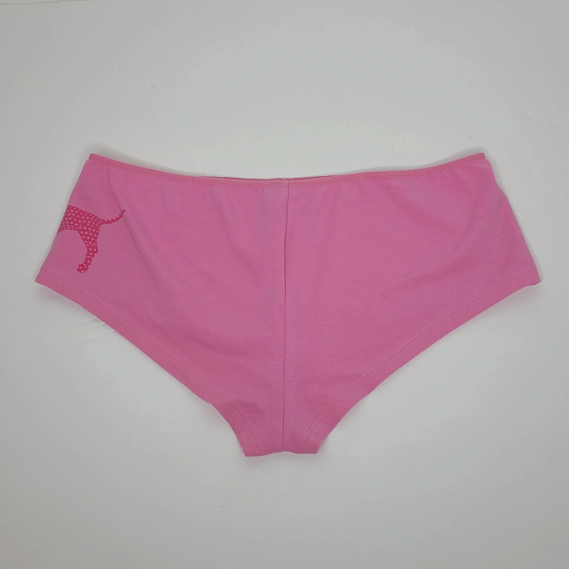 PINK Victoria's Secret Vintage Hipster Underwear 2