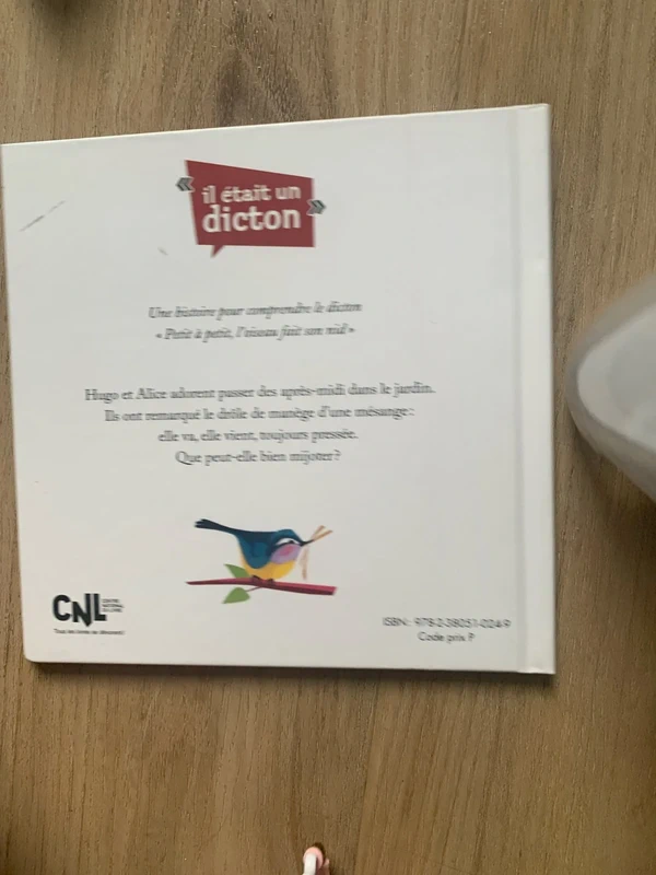 Petit à petit l’oiseau fait son nid - photo numéro 2