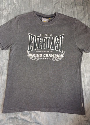 Tee-Shirt Everlast gris homme taille M, merk: Everlast, staat: Heel goed, maat: M, € 3,00, € 3,85 inclusief Kopersbescherming