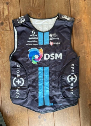 Team DSM Koelvest, staat: Heel goed, € 15,00, € 16,45 inclusief Kopersbescherming