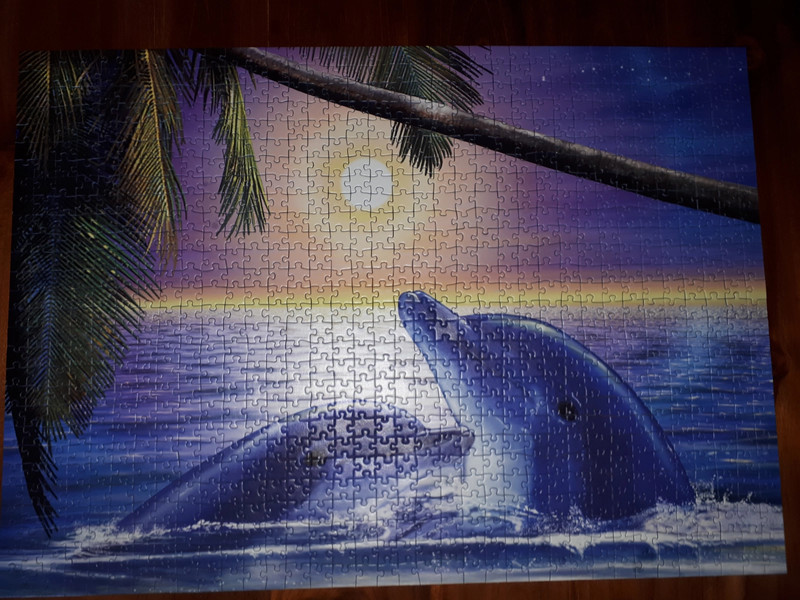 Puzzel dolfijn 2x1000 stukjes 3