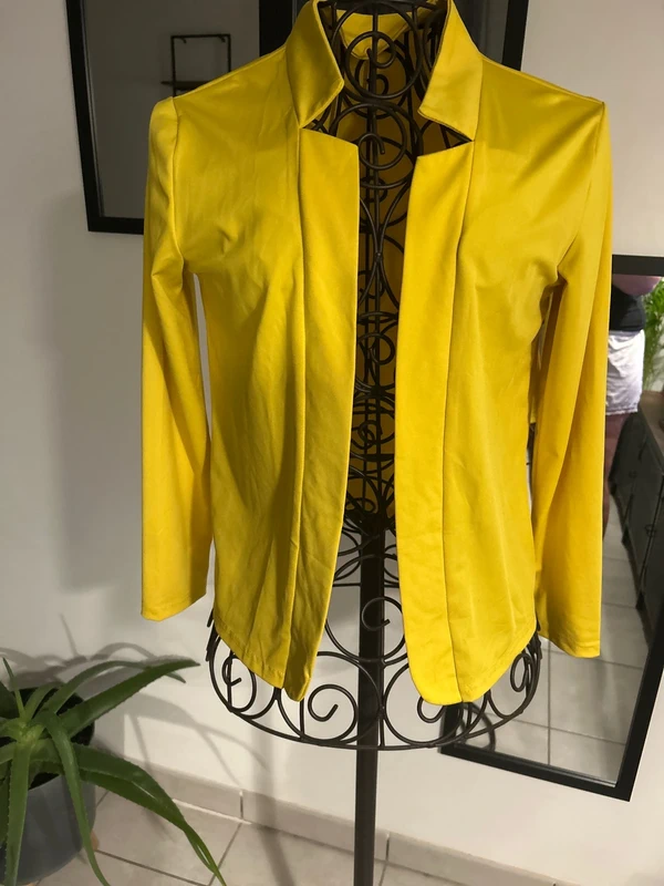 Veste - photo numéro 4