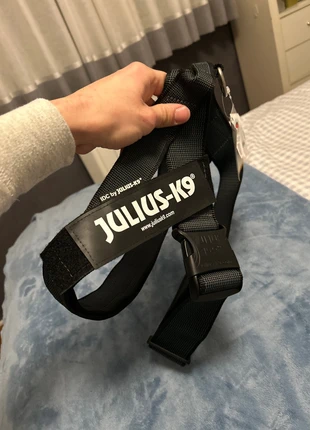 Arnes perro julius k9 Belt IDC, marca: Julius, estado: Novo com etiquetas, tamanho: Outro, €19.00, €20.65 inclui Proteção do Comprador