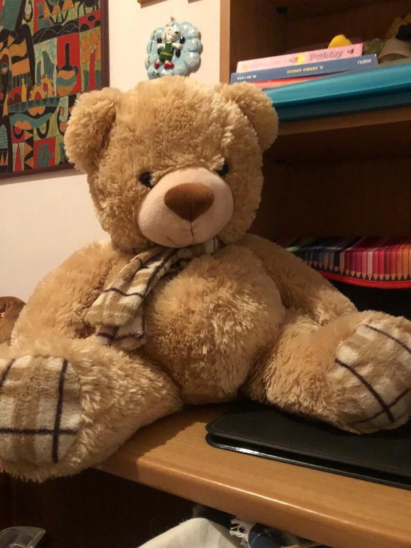 Peluche orso gigante sales