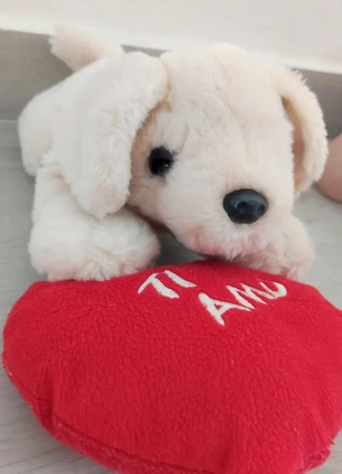 Peluche cane 'ti amo', brand: Peluche, condizioni: Ottime, taglia: Taglia unica, €6.00, €7.00 include la Protezione acquisti