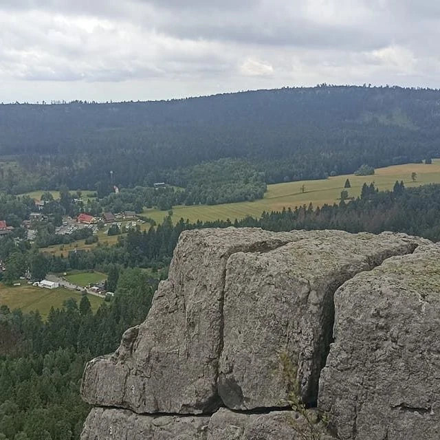 Profilový obrázok člena tolioli