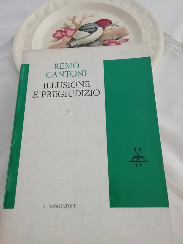 Illusione e pregiudizio di Remo Cantoni