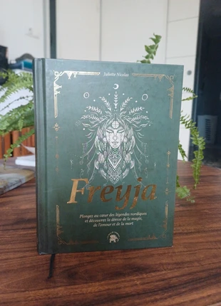 Livre mythologie nordique, état: Neuf avec étiquette, 7,00 €, 8,05 € Protection acheteurs incluse