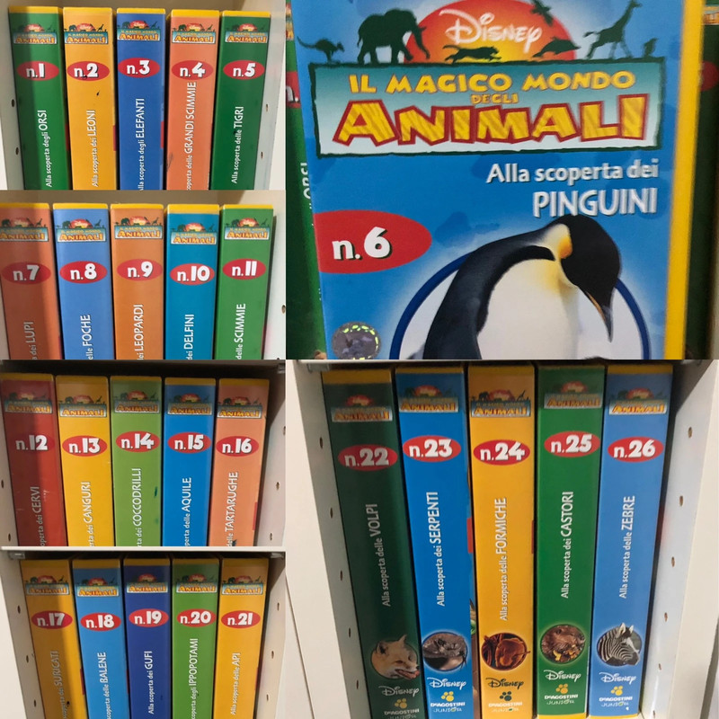 VHS “Il magico mondo degli animali” di Walt Disney edizione completa, 26 VHS Vinted VHS “Il magico mondo degli animali” di Walt Disney edizione completa, 26 VHS Vinted