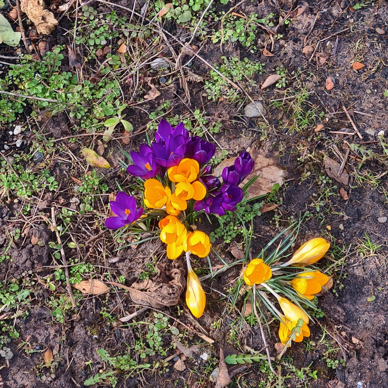 Profilna slika člana belladonna1234