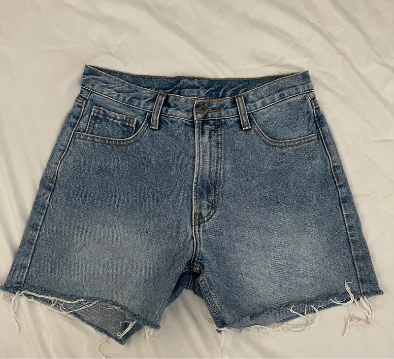 Brandy Melville Shorts 1