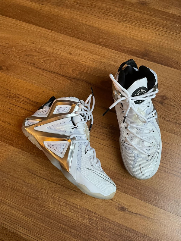 Nike LeBron 12 Elite SP x Pigalle