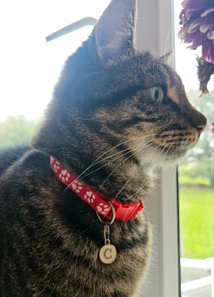 Cat Collar Name Tag ● Choose Your ● Letter Pendant Kitten, brand: CAT, condition: New without tags, £3.40, £4.27 includes Buyer Protection