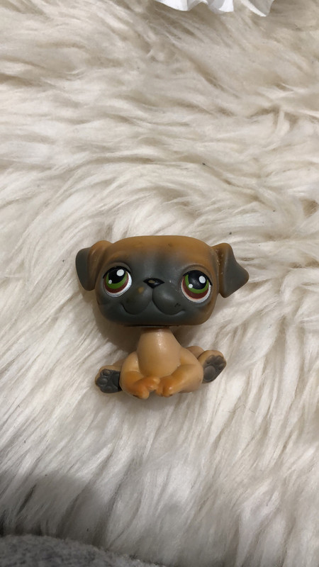 Littlest pet shop sales pug