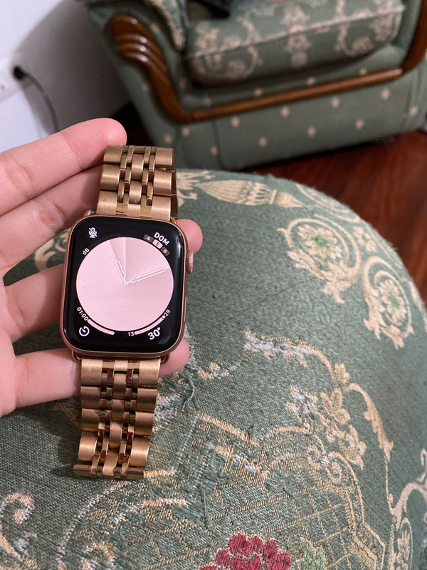 Apple watch serie 5 Vinted