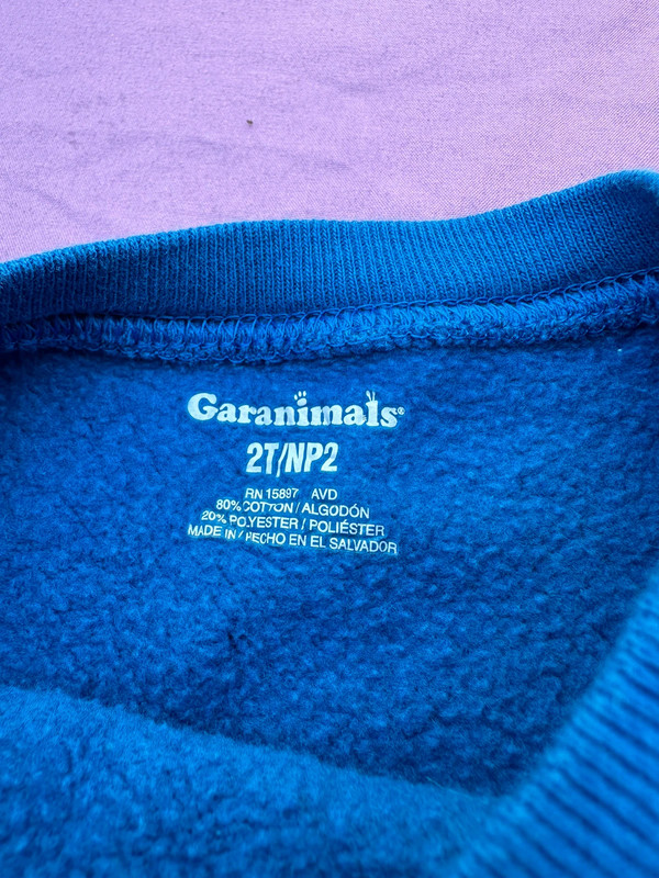 Boys 2t garanimals shirt 2