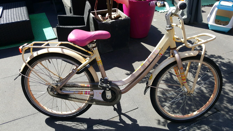 Manie kwaad herinneringen Batavus Star meisjes fiets 22 inch - Vinted