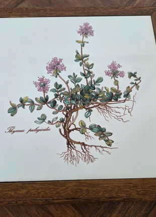 Ancien dessous de plat en céramique, marca: Villeroy & Boch, estado: Muy bueno, 18,00 €, 19,60 € Protección al comprador incluida