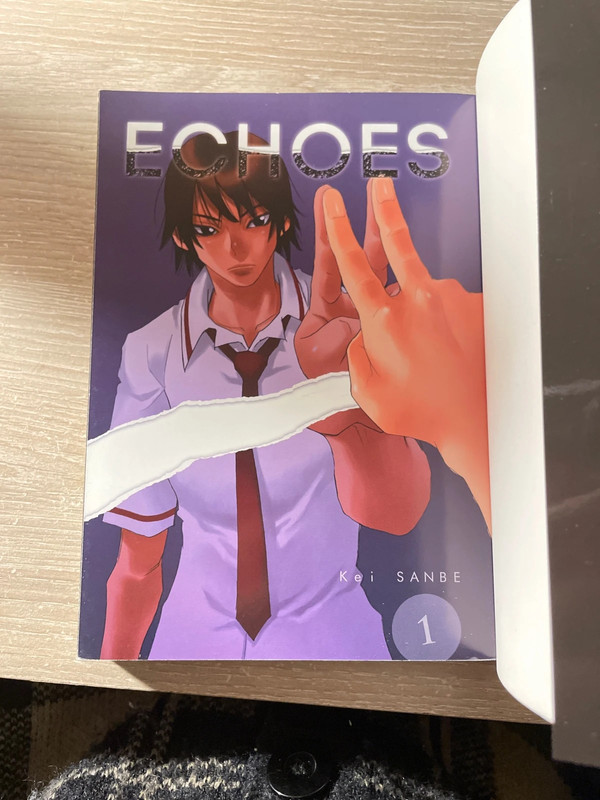 Tome 1 Echoes  3