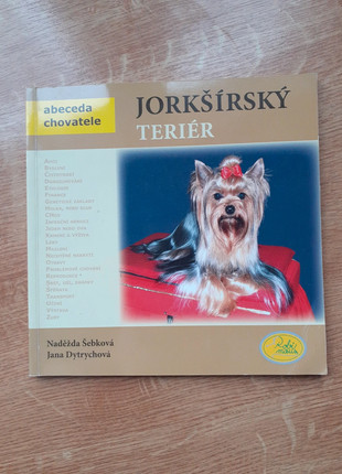 Obrázek k inzerátu: Jorksirsky terier