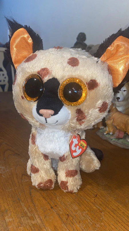 Ty beanie boo best sale lynx