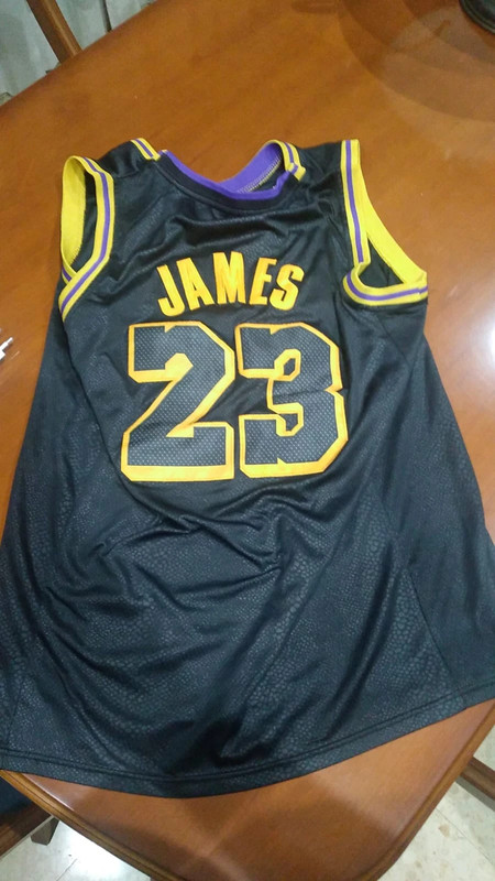 Camiseta de baloncesto Los Lakers de Lebron James - Vinted