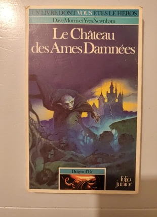Inhabituel Livre Dont Vous Etes Le Héros (ldvelh): Le Château des Ames Damnées en v1 ÉO et BÉ, état: Bon état, 15,00 €, 16,45 € Protection acheteurs incluse